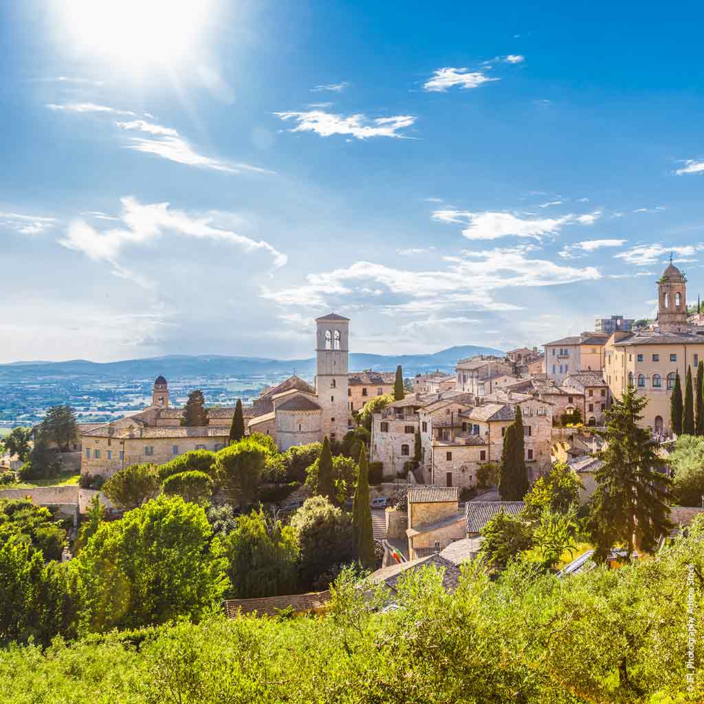 Pallottiner Pilgerfahrten Online