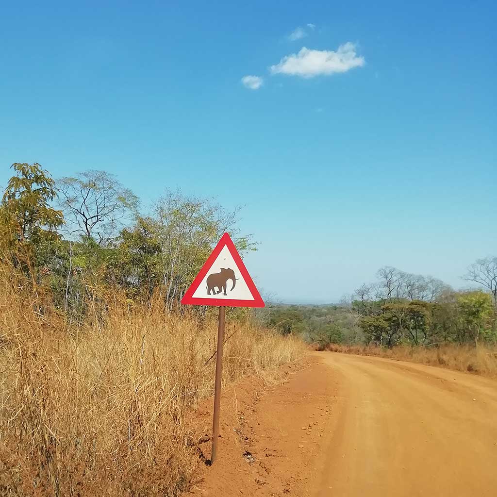 Vorsicht Elefanten - Kasungu Nationalpark