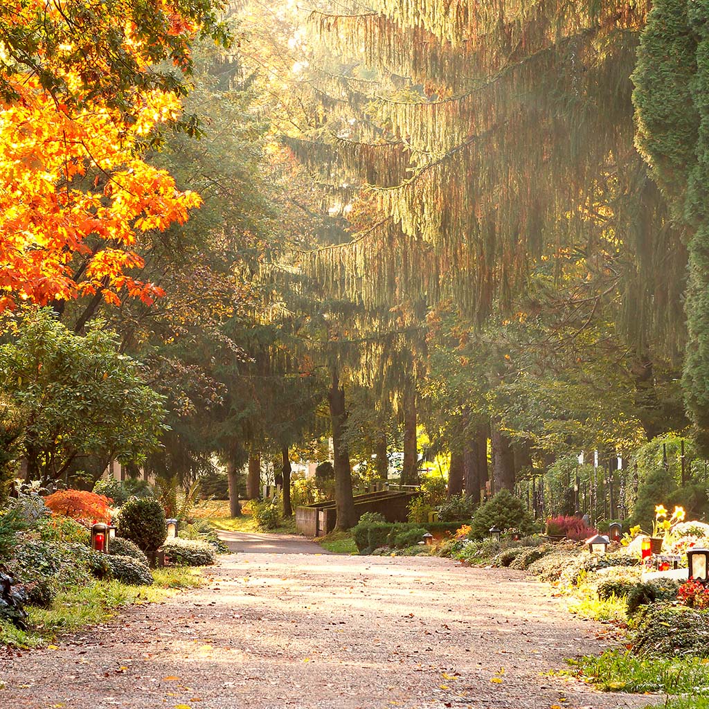 Herbst auf dem Friedhof