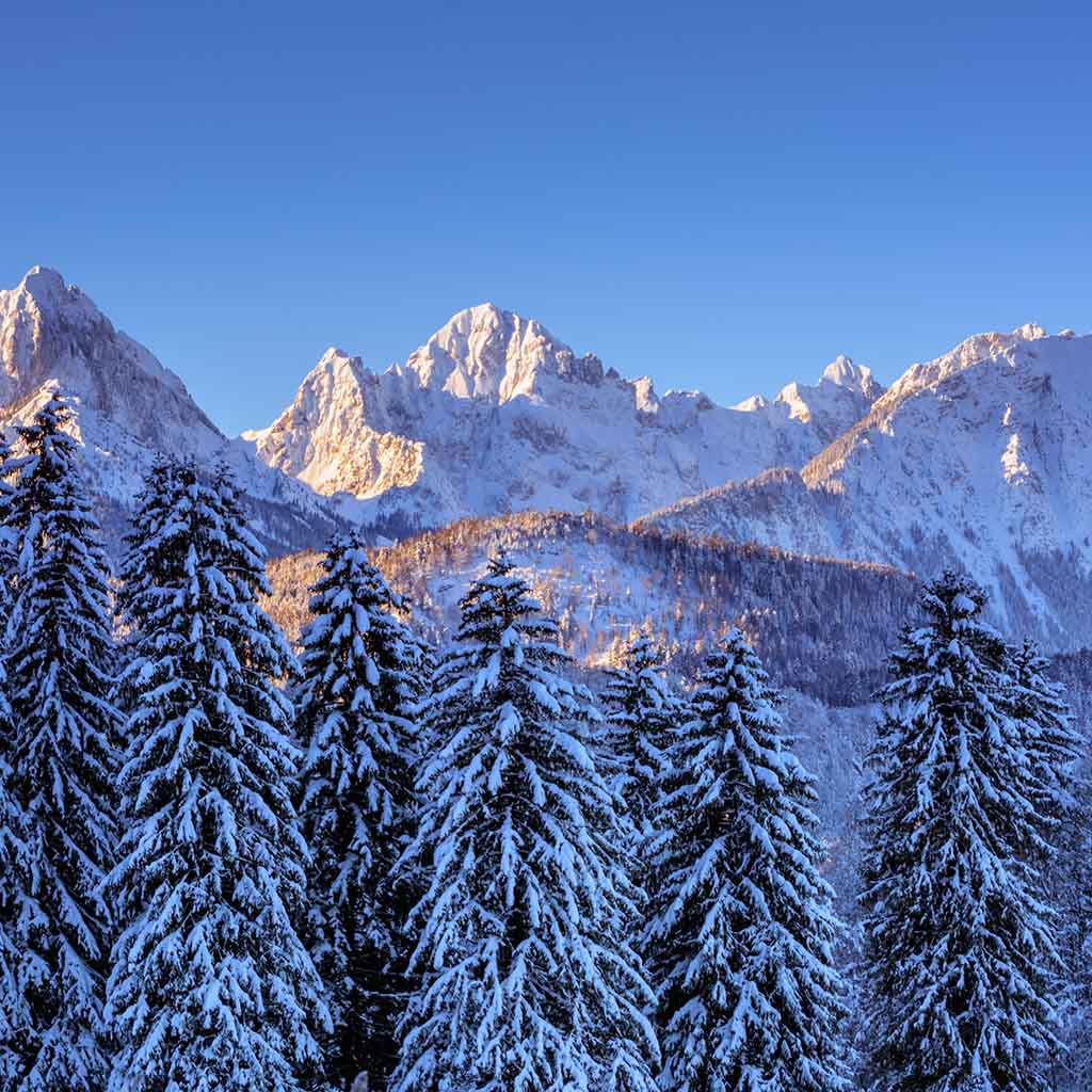 Ammergauer Alpen - eine Silvesterreise mit Pallottiner Pilgerfahrten
