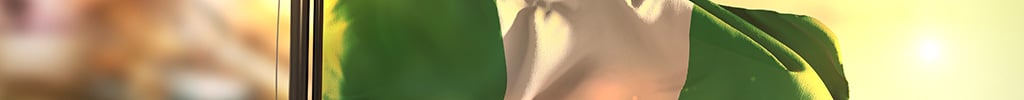Die Farben Nigerias - Flagge des Bundesstaates Nigeria auf dem afrikanischen Kontinent