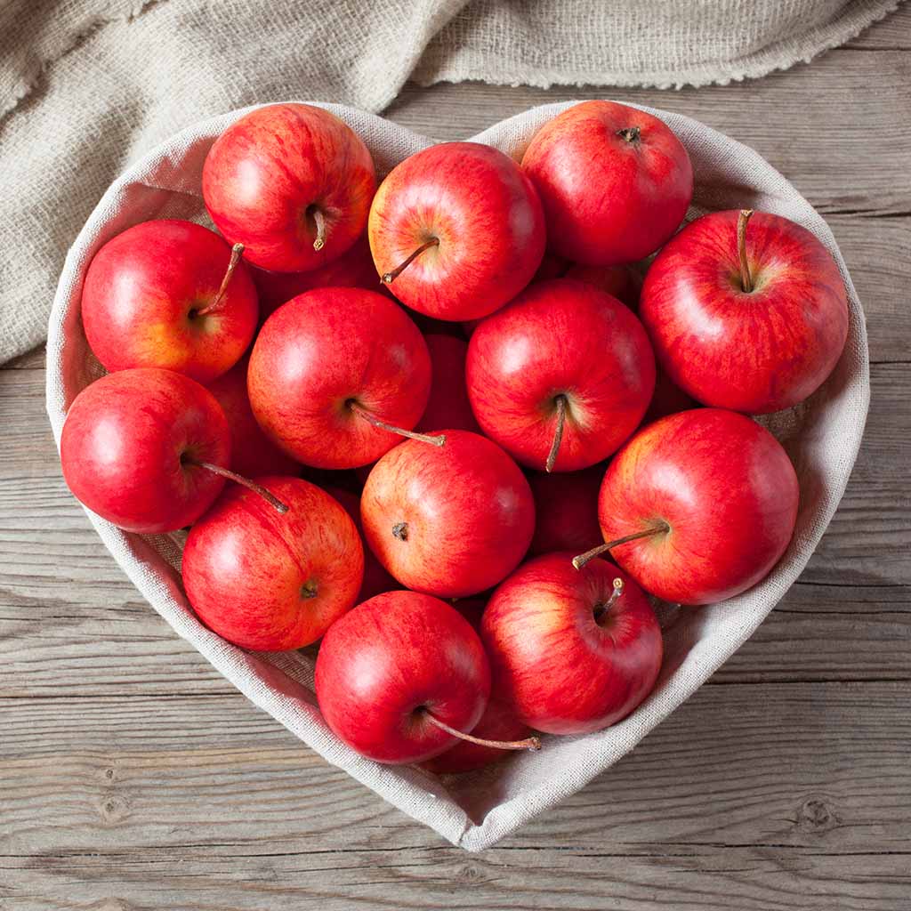 Vallendarer Apfelfest Vallendarer Apfelfest Haus Wasserburg