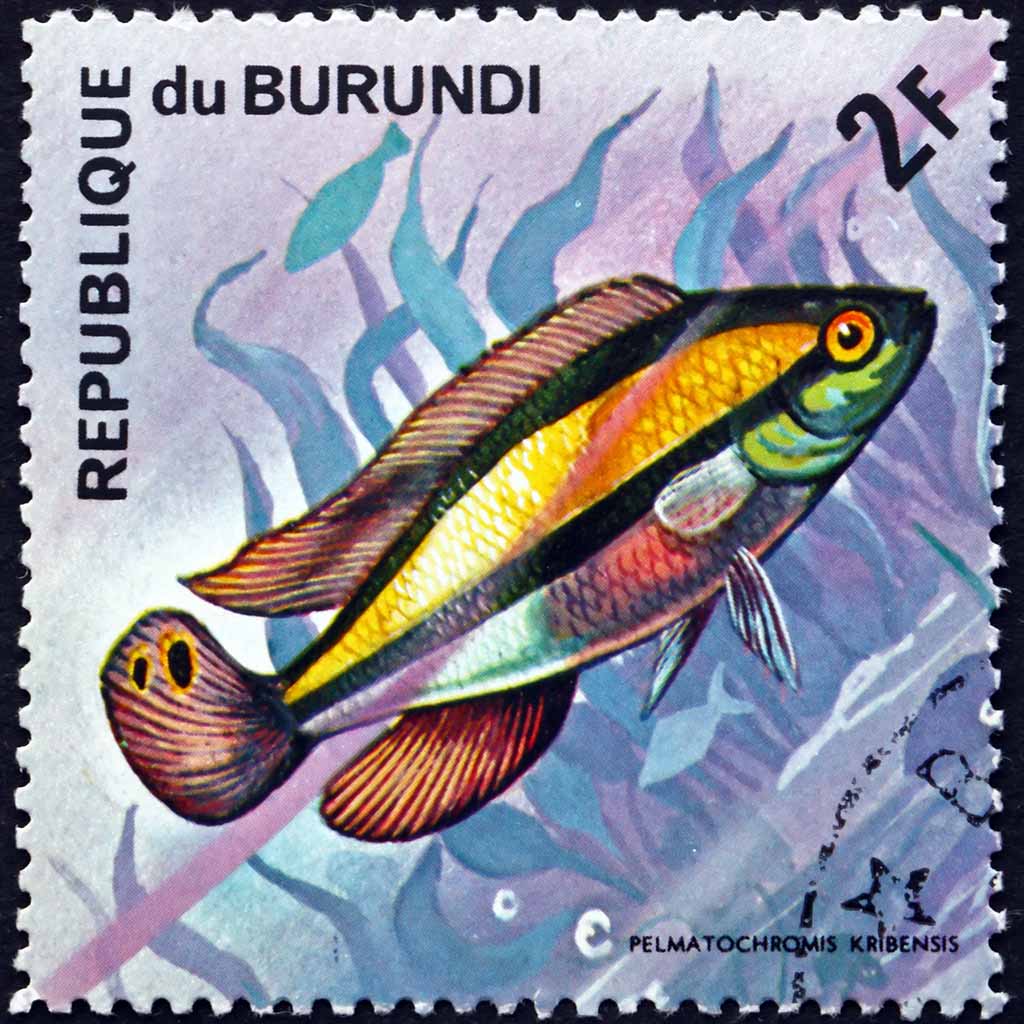 Briefmarkenmissionshilfe der Pallottiner