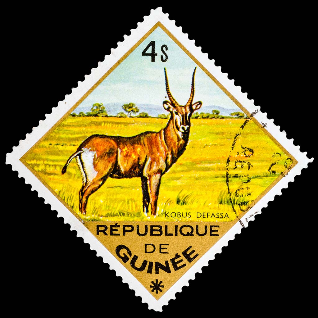 Briefmarkenmissionshilfe der Pallottiner
