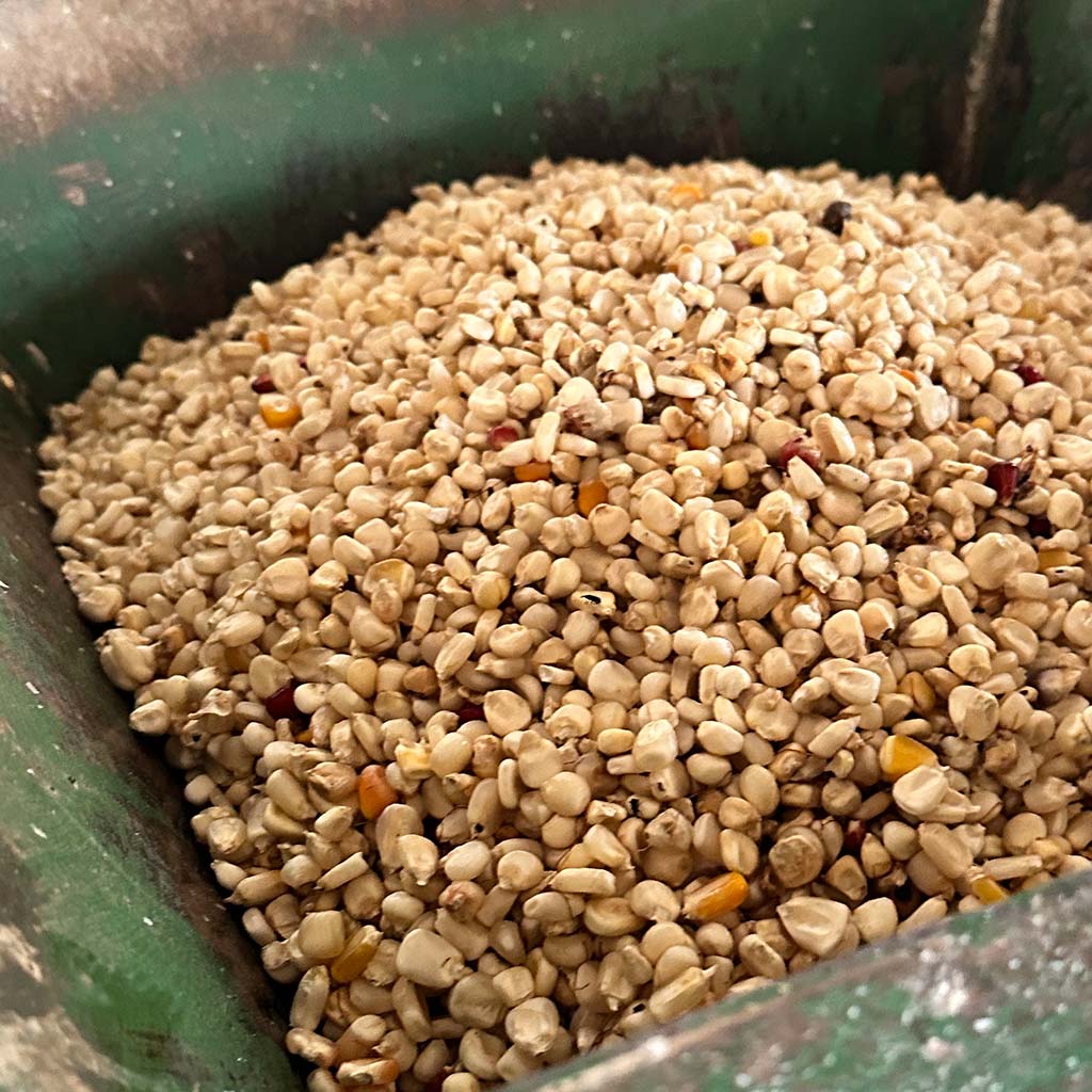 Mais im Trichter einer Maismühle: Mit dem aus den Mühlen gewonnenen Maismehl wird unter anderem Nsima gekocht Hilfsprojekte für Malawi: Selbständigkeit fördern – Lebenswege unterstützen