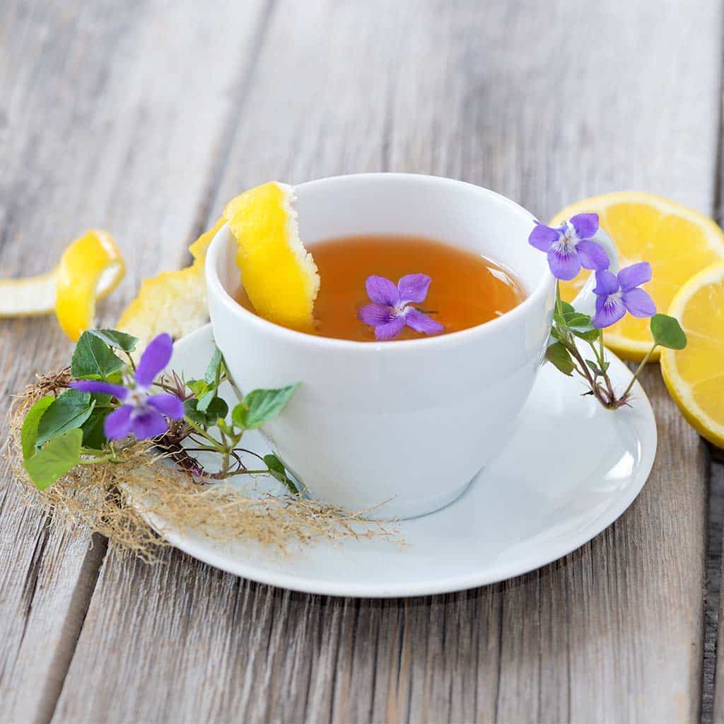 Mit den Orden durch die Fastenzeit Mit den Orden durch die Fastenzeit