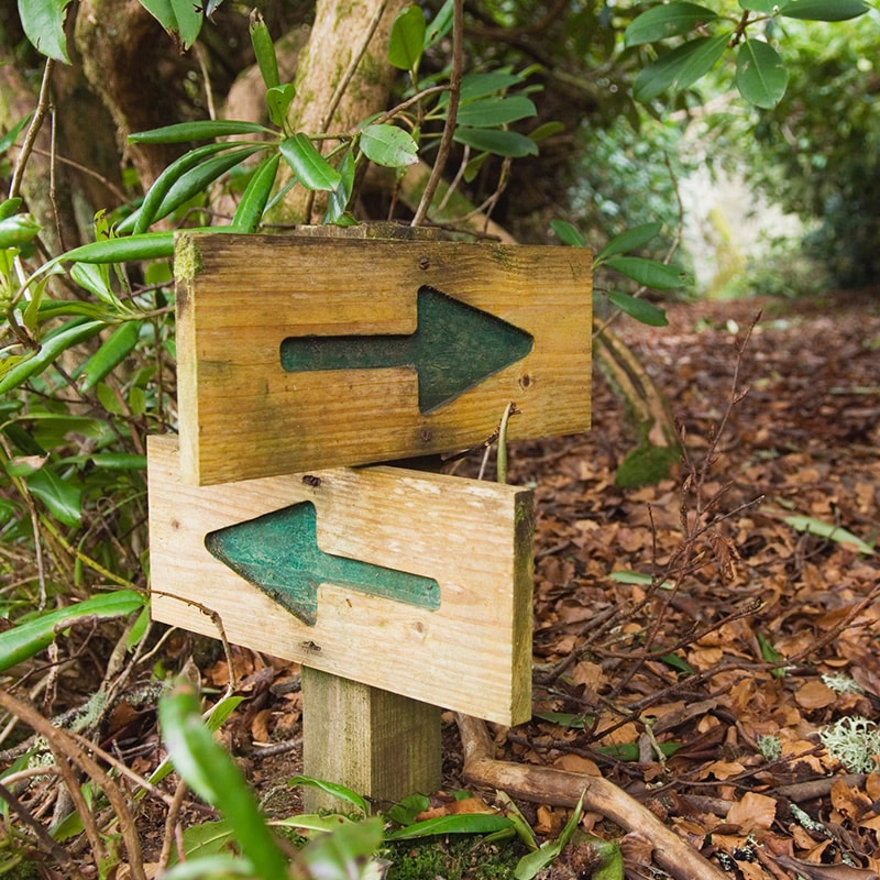 das zeichen Mai 2026: Maria