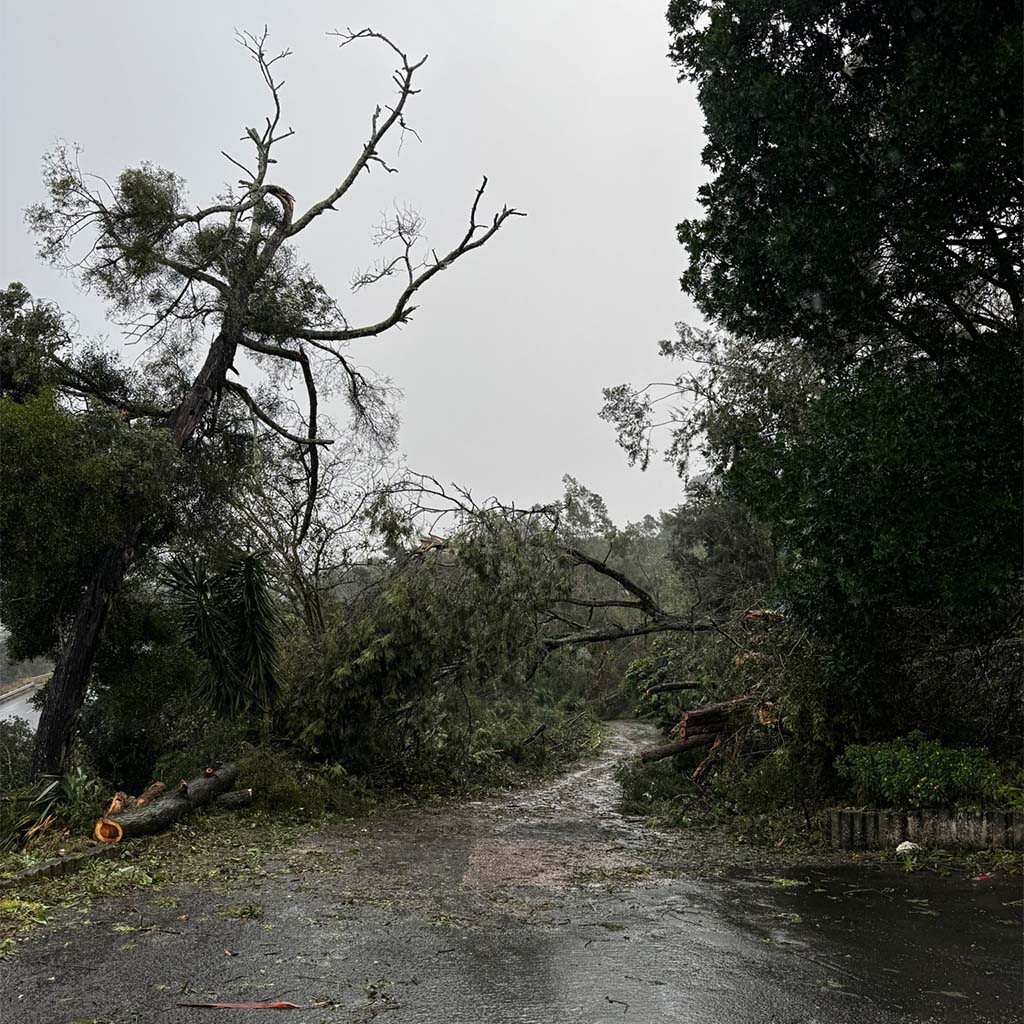 Gesperrte Straße in Step-Aside nach dem Sturm