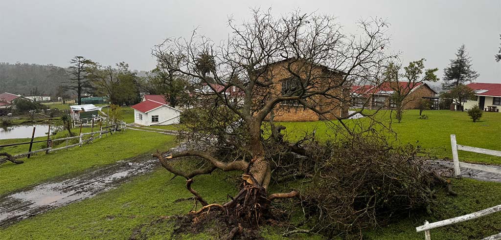 Am Tag nach dem schweren Unwetter zeigte sich rund um das pallottinische Konferenz- und Unterkunftszentrum Step-Aside, etwa zwei Kilometer nordwestlich von George am Fuß der Outeniqua-Berge, das Ausmaß der Zerstörung. Wo Gäste sonst Ruhe, Begegnung und die ländliche Weite der Garden Route erleben, lagen umgestürzte Bäume, Dächer waren beschädigt oder abgedeckt, Wohnräume standen unter Wasser.