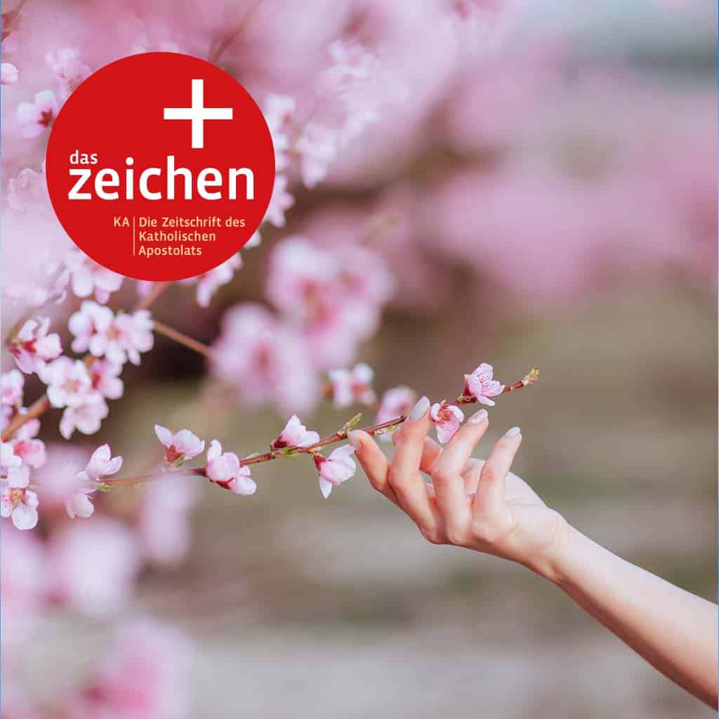 das zeichen 2026/06: Schönheit (Titel)