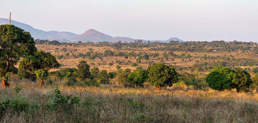 Besuch in der Partnerpfarrei St. Vincent Pallotti in Kaphatika Landschaft mit Bergen in Malawi