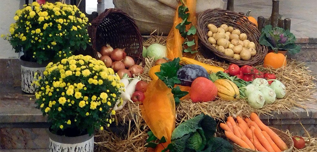 Erntedank 2026 in Limburger Pallottinerkirche St. Marien
